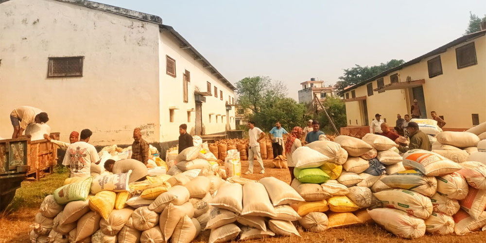 कञ्चनपुरमा धान खरिद सुरु, तर एकै स्थानबाट मात्र